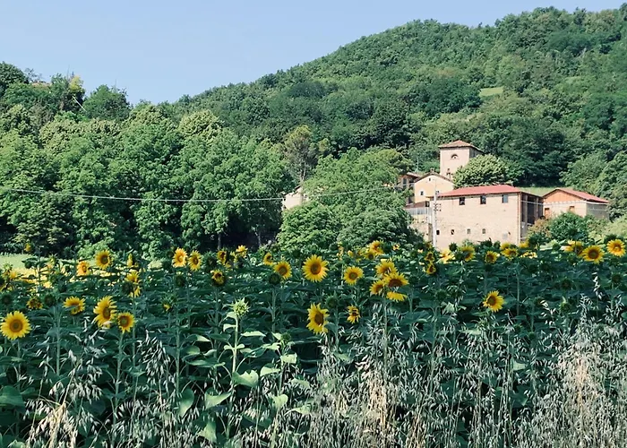 Aparthotel Torre Di Jano Dimora Storica Lama (Tuscany)